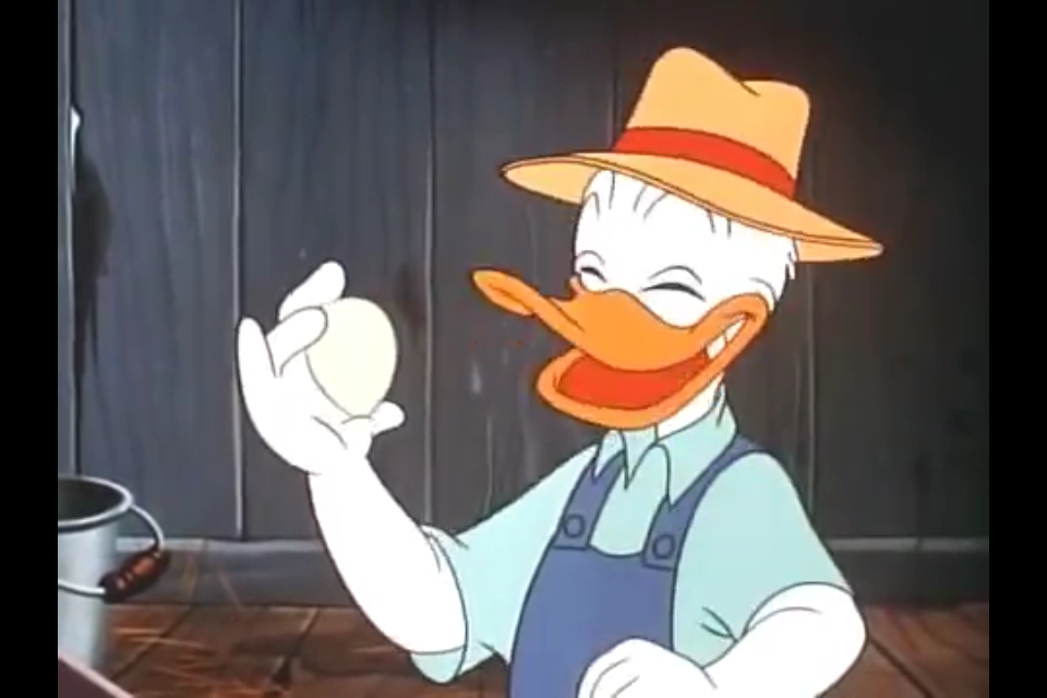 pollaio, disney, chiken, coop